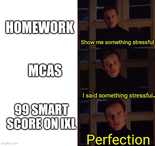 perfection | HOMEWORK; Show me something stressful; MCAS; I said something stressful; 99 SMART SCORE ON IXL; Perfection | image tagged in perfection | made w/ Imgflip meme maker