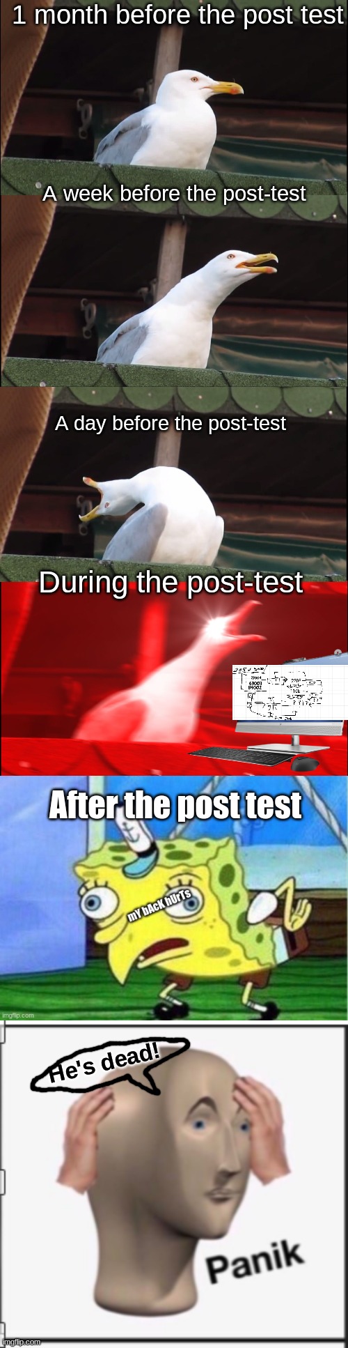 No offense but I do personally hate post-tests | 1 month before the post test; A week before the post-test; A day before the post-test; During the post-test; After the post test; He's dead! | image tagged in memes,inhaling seagull | made w/ Imgflip meme maker