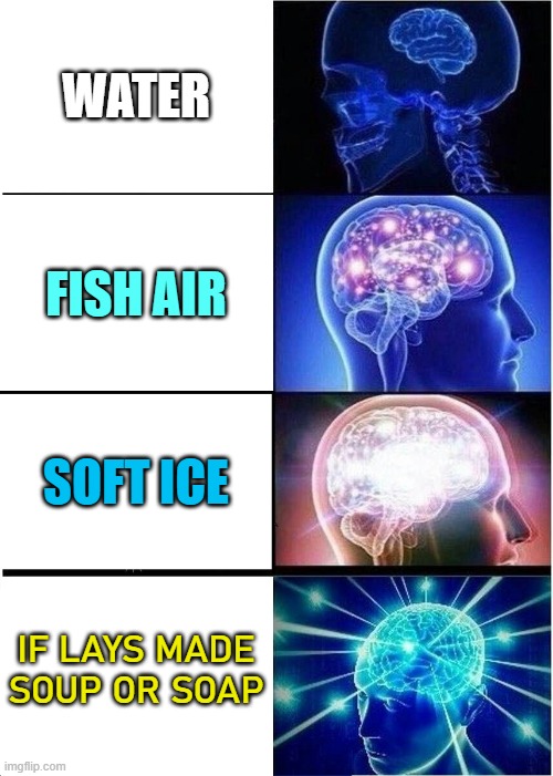 How intellects say water | WATER; FISH AIR; SOFT ICE; IF LAYS MADE SOUP OR SOAP | image tagged in memes,expanding brain,water | made w/ Imgflip meme maker