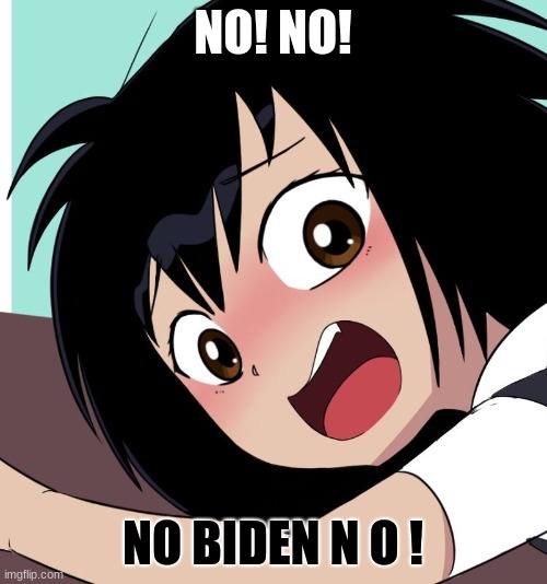 NO! NO! NO BIDEN N O ! | made w/ Imgflip meme maker