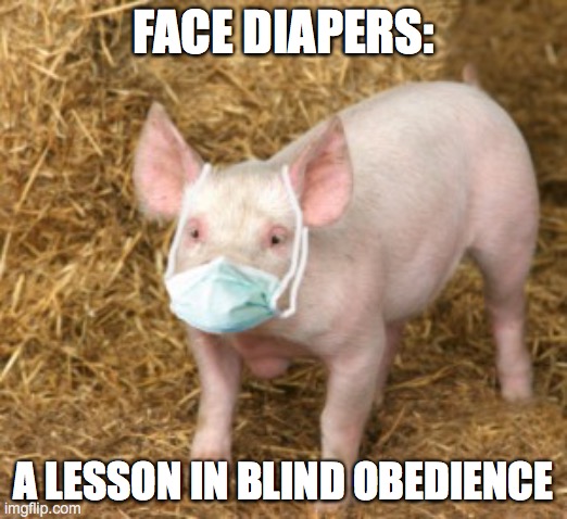 FACE DIAPERS:; A LESSON IN BLIND OBEDIENCE | made w/ Imgflip meme maker