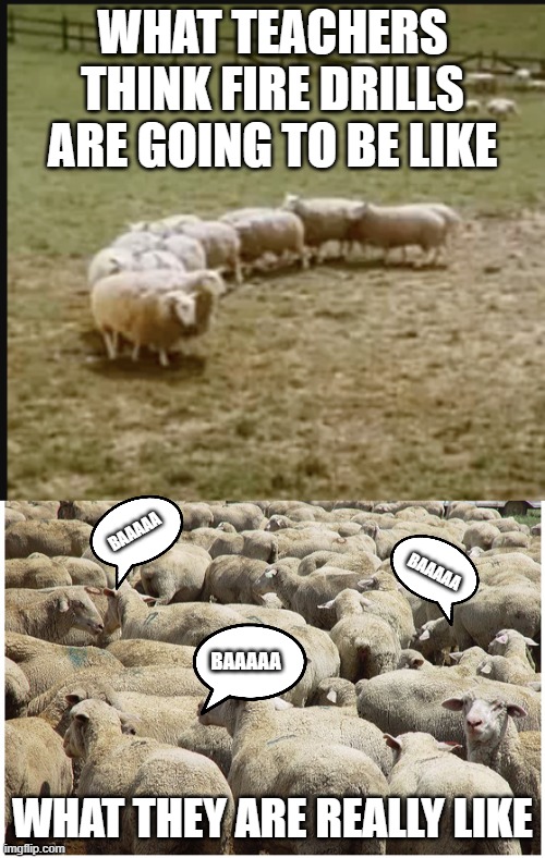  WHAT TEACHERS THINK FIRE DRILLS ARE GOING TO BE LIKE; BAAAAA; BAAAAA; BAAAAA; WHAT THEY ARE REALLY LIKE | image tagged in fire drills | made w/ Imgflip meme maker