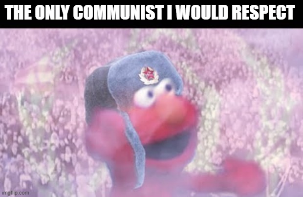 comrade ELMO | THE ONLY COMMUNIST I WOULD RESPECT | image tagged in fun,cartoon | made w/ Imgflip meme maker