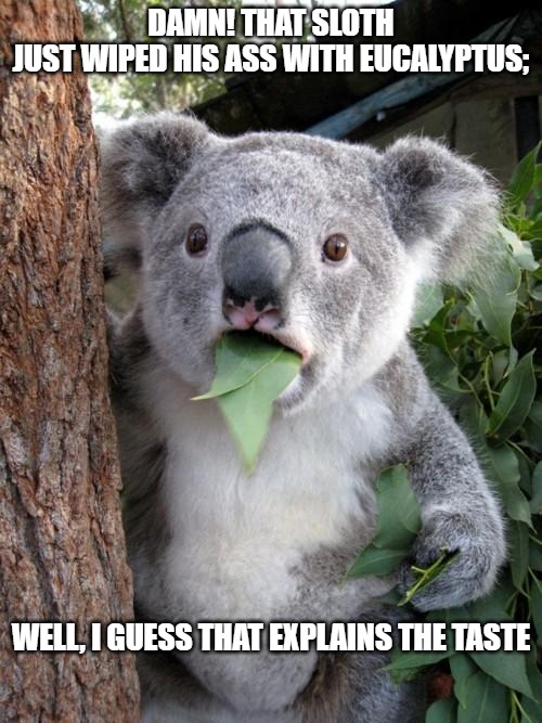 Surprised Koala Meme | DAMN! THAT SLOTH JUST WIPED HIS ASS WITH EUCALYPTUS;; WELL, I GUESS THAT EXPLAINS THE TASTE | image tagged in memes,surprised koala | made w/ Imgflip meme maker