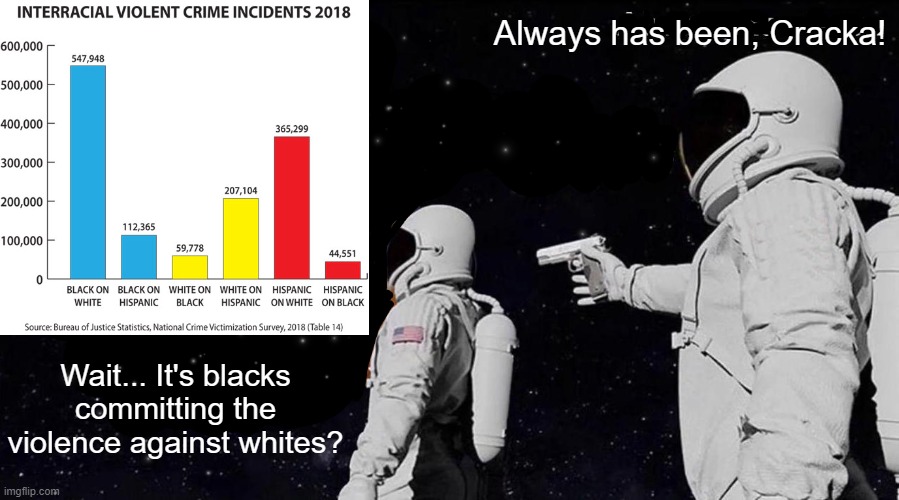Facts and statistics are racist! | Always has been, Cracka! Wait... It's blacks committing the violence against whites? | image tagged in white genocide,zionism,cultural marxism,blm is communism in blackface | made w/ Imgflip meme maker