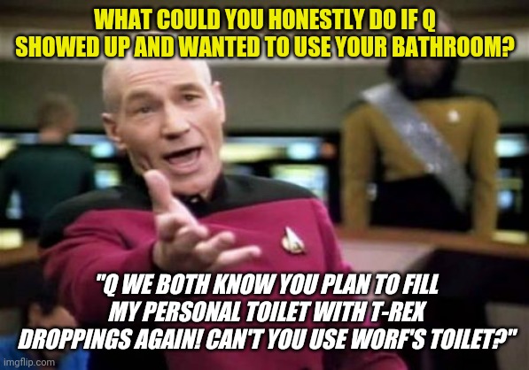 When Q wants to be a jerk | WHAT COULD YOU HONESTLY DO IF Q SHOWED UP AND WANTED TO USE YOUR BATHROOM? "Q WE BOTH KNOW YOU PLAN TO FILL MY PERSONAL TOILET WITH T-REX DROPPINGS AGAIN! CAN'T YOU USE WORF'S TOILET?" | image tagged in memes,captain picard wtf,star trek tng | made w/ Imgflip meme maker