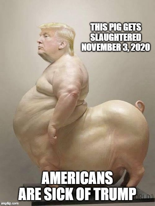 Criminal, Conman, Liar, Traitor, IMPEACHED, Psychopath - You're Fired! | THIS PIG GETS SLAUGHTERED NOVEMBER 3, 2020; AMERICANS ARE SICK OF TRUMP | image tagged in trump pig,trump equals death,biden 2020,trump can go to hell,putin's bitch | made w/ Imgflip meme maker