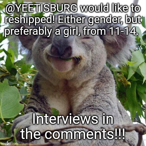 Smiling Koala | @YEETISBURG would like to reshipped! Either gender, but preferably a girl, from 11-14. Interviews in the comments!!! | image tagged in smiling koala,taken | made w/ Imgflip meme maker