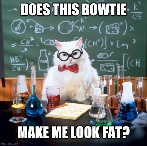 Chemistry Cat Meme | DOES THIS BOWTIE; MAKE ME LOOK FAT? | image tagged in memes,chemistry cat | made w/ Imgflip meme maker