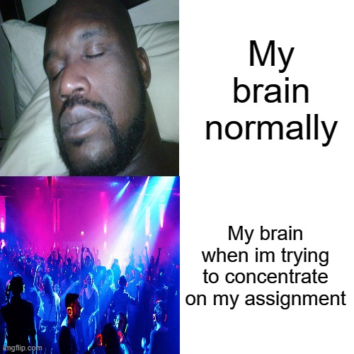 Drake Hotline Bling | My brain normally; My brain when im trying to concentrate on my assignment | image tagged in memes,drake hotline bling | made w/ Imgflip meme maker