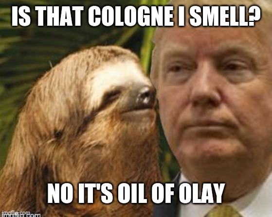 Political advice sloth | IS THAT COLOGNE I SMELL? NO IT'S OIL OF OLAY | image tagged in political advice sloth | made w/ Imgflip meme maker