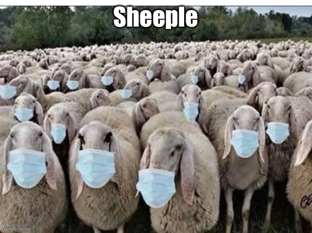 Sign of the Sheeple | Sheeple | image tagged in sign of the sheeple | made w/ Imgflip meme maker