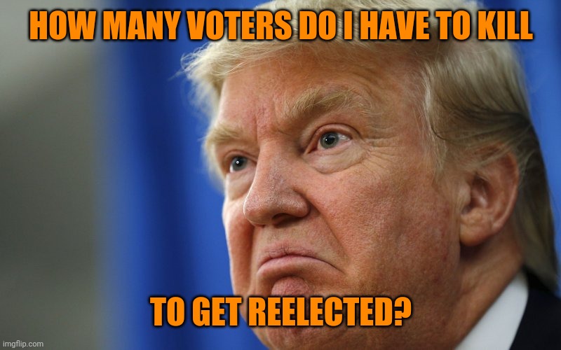 Mad Trump | HOW MANY VOTERS DO I HAVE TO KILL; TO GET REELECTED? | image tagged in mad trump | made w/ Imgflip meme maker