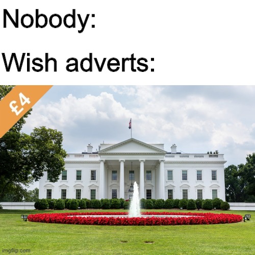 And then you get a run down shed |  Nobody:; Wish adverts: | image tagged in meme,funny,white house,wish,advert | made w/ Imgflip meme maker