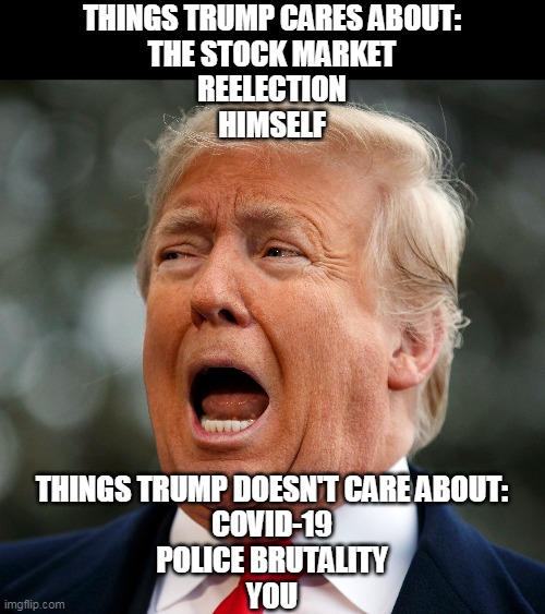 Power without purpose. To be powerful and have no idea what to do next. | THINGS TRUMP CARES ABOUT:
THE STOCK MARKET
REELECTION
HIMSELF; THINGS TRUMP DOESN'T CARE ABOUT:
COVID-19
POLICE BRUTALITY
YOU | image tagged in trump,election 2020,selfish,covid-19,coronavirus,police brutality | made w/ Imgflip meme maker