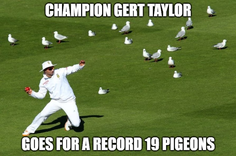 A new record | CHAMPION GERT TAYLOR; GOES FOR A RECORD 19 PIGEONS | image tagged in sports,memes,fun,funny,funny memes,pigeons | made w/ Imgflip meme maker