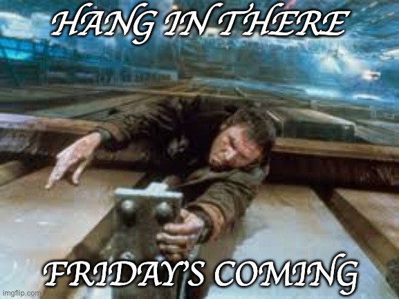 Hang in There - Friday's coming | HANG IN THERE; FRIDAY'S COMING | image tagged in fun | made w/ Imgflip meme maker