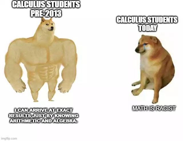 Calculus Students are weak today | CALCULUS STUDENTS
PRE-2013; CALCULUS STUDENTS 
TODAY; I CAN ARRIVE AT EXACT RESULTS JUST BY KNOWING ARITHMETIC AND ALGEBRA. MATH IS RACIST | image tagged in buff doge vs cheems | made w/ Imgflip meme maker