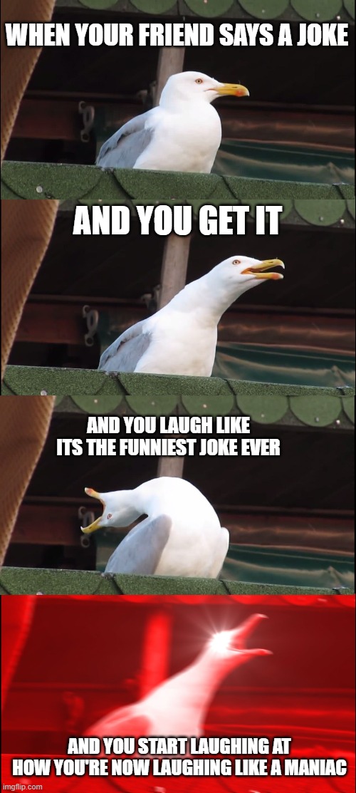 hahaahah | WHEN YOUR FRIEND SAYS A JOKE; AND YOU GET IT; AND YOU LAUGH LIKE ITS THE FUNNIEST JOKE EVER; AND YOU START LAUGHING AT HOW YOU'RE NOW LAUGHING LIKE A MANIAC | image tagged in memes,inhaling seagull | made w/ Imgflip meme maker