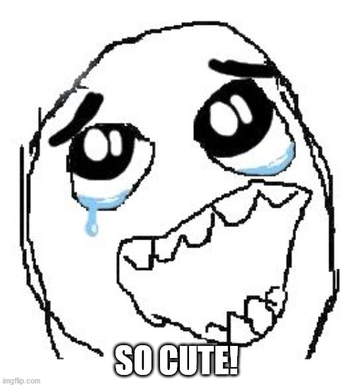 Happy Guy Rage Face Meme | SO CUTE! | image tagged in memes,happy guy rage face | made w/ Imgflip meme maker