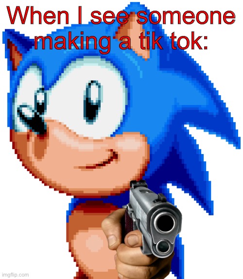 Yes yes yes | When I see someone making a tik tok: | image tagged in sonic with a gun | made w/ Imgflip meme maker