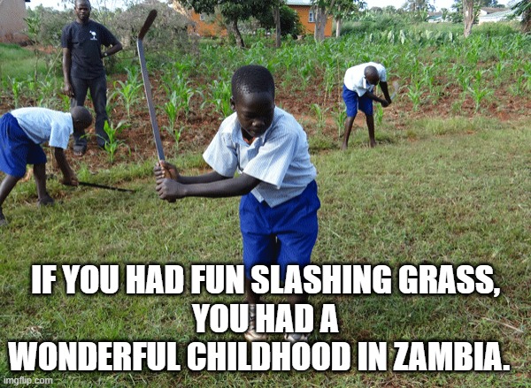 Zambia | IF YOU HAD FUN SLASHING GRASS,
YOU HAD A WONDERFUL CHILDHOOD IN ZAMBIA. | image tagged in slashing,grass,zambia | made w/ Imgflip meme maker