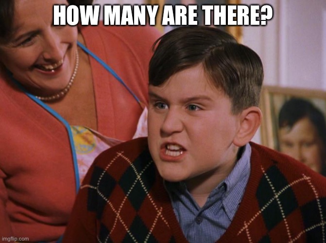 Harry Potter Dudley's Birthday | HOW MANY ARE THERE? | image tagged in harry potter dudley's birthday | made w/ Imgflip meme maker