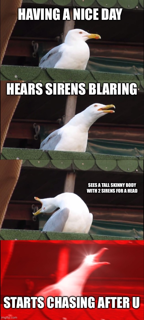 Inhaling Seagull | HAVING A NICE DAY; HEARS SIRENS BLARING; SEES A TALL SKINNY BODY WITH 2 SIRENS FOR A HEAD; STARTS CHASING AFTER U | image tagged in memes,inhaling seagull | made w/ Imgflip meme maker