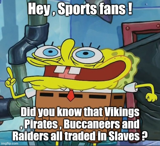 Just call them the Washington White Guys | Hey , Sports fans ! Did you know that Vikings , Pirates , Buccaneers and Raiders all traded in Slaves ? | image tagged in did you know,stupid liberals,politicians suck,autocorrect,political correctness | made w/ Imgflip meme maker