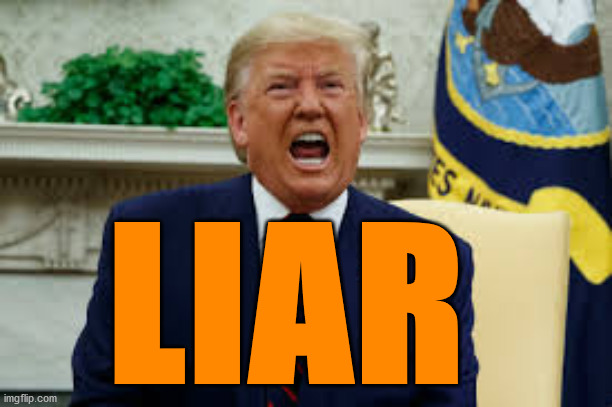 LIAR | LIAR | image tagged in donald trump,liar | made w/ Imgflip meme maker