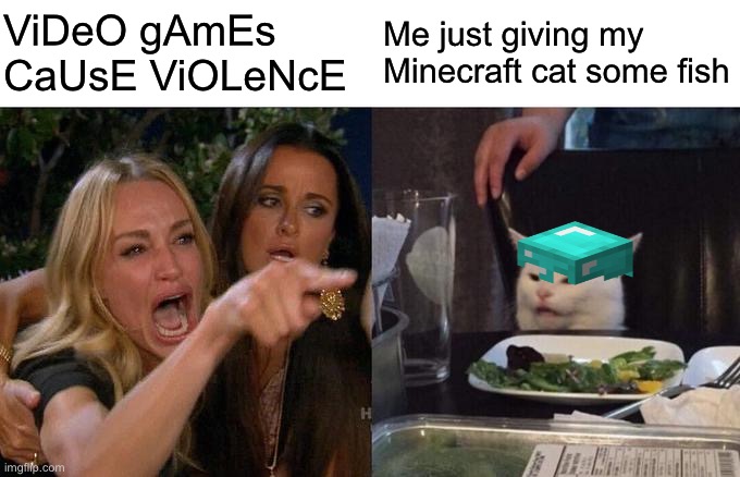 Woman Yelling At Cat | ViDeO gAmEs CaUsE ViOLeNcE; Me just giving my Minecraft cat some fish | image tagged in memes,woman yelling at cat | made w/ Imgflip meme maker