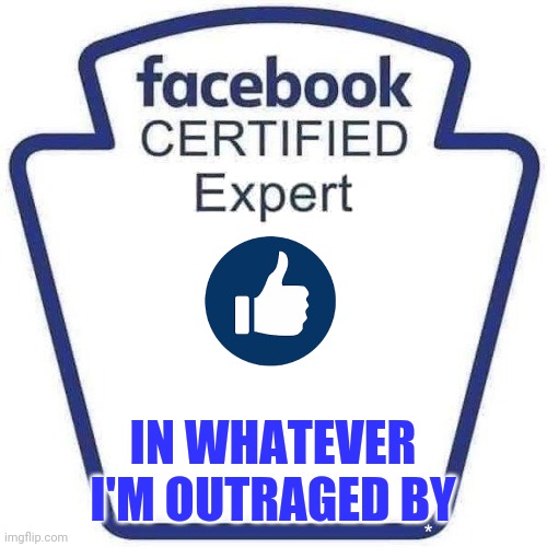 Facebook certified expert badge 1 | IN WHATEVER I'M OUTRAGED BY | image tagged in facebook certified expert badge 1 | made w/ Imgflip meme maker