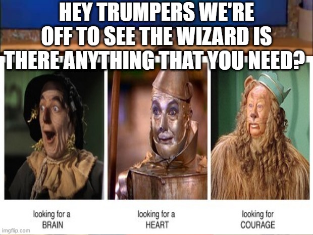We're off to see The Wizard | HEY TRUMPERS WE'RE OFF TO SEE THE WIZARD IS THERE ANYTHING THAT YOU NEED? | image tagged in trump supporter,the wizard of oz,cowardly lion,scarecrow,tin man | made w/ Imgflip meme maker