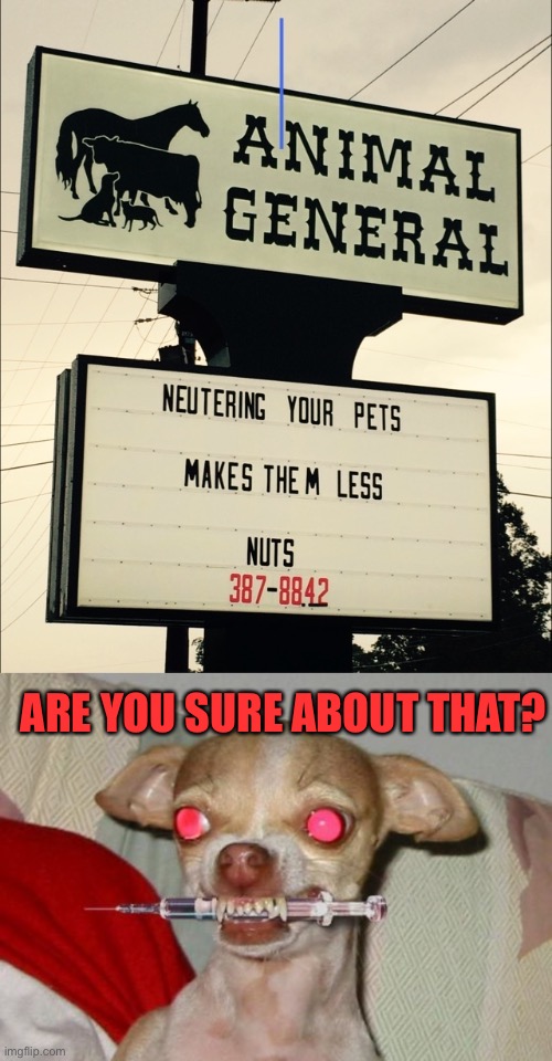 More nuts | ARE YOU SURE ABOUT THAT? | image tagged in meth dog,meth,dogs,pets,44colt,veterinarian | made w/ Imgflip meme maker