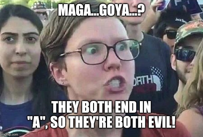 Triggered Liberal | MAGA...GOYA...? THEY BOTH END IN "A", SO THEY'RE BOTH EVIL! | image tagged in triggered liberal | made w/ Imgflip meme maker