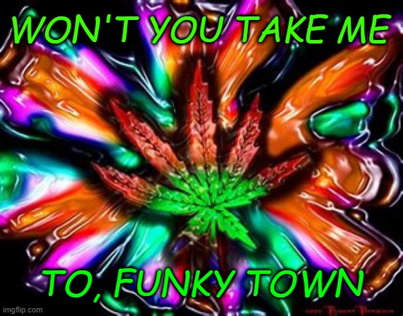 WON'T YOU TAKE ME; TO, FUNKY TOWN | made w/ Imgflip meme maker