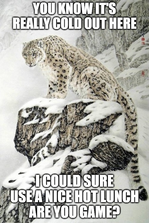 Is it lunch already | YOU KNOW IT'S
REALLY COLD OUT HERE; I COULD SURE USE A NICE HOT LUNCH
ARE YOU GAME? | image tagged in leopard,cats,memes,fun,funny,lunch | made w/ Imgflip meme maker
