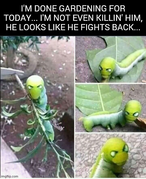 I'M DONE GARDENING FOR TODAY... I'M NOT EVEN KILLIN' HIM, HE LOOKS LIKE HE FIGHTS BACK... | image tagged in caterpillar | made w/ Imgflip meme maker