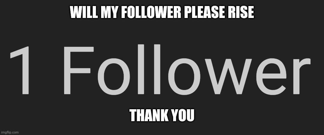 WILL MY FOLLOWER PLEASE RISE; THANK YOU | image tagged in follow | made w/ Imgflip meme maker