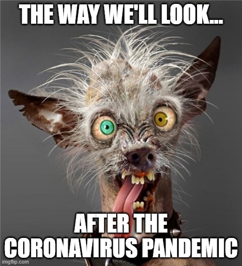 When the drama is finally over | THE WAY WE'LL LOOK... AFTER THE CORONAVIRUS PANDEMIC | image tagged in covid-19,after,scary clown | made w/ Imgflip meme maker