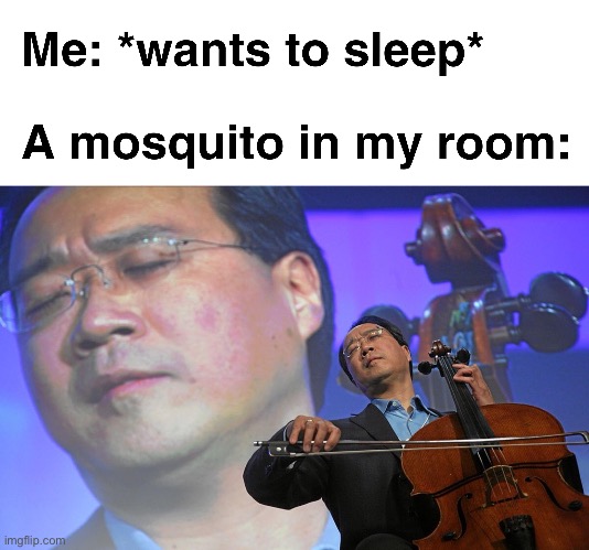 ? we can all relate ? | image tagged in annoying,musician,mosquito | made w/ Imgflip meme maker