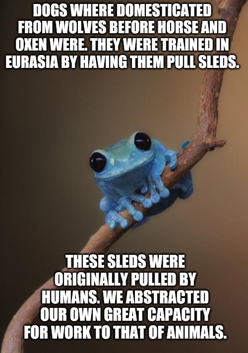 Does our ability to train animals make us superior to them? | DOGS WHERE DOMESTICATED FROM WOLVES BEFORE HORSE AND OXEN WERE. THEY WERE TRAINED IN EURASIA BY HAVING THEM PULL SLEDS. THESE SLEDS WERE ORIGINALLY PULLED BY HUMANS. WE ABSTRACTED OUR OWN GREAT CAPACITY FOR WORK TO THAT OF ANIMALS. | image tagged in small fact frog | made w/ Imgflip meme maker