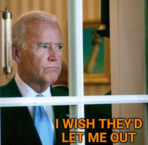 Sad Joe Biden | I WISH THEY'D LET ME OUT | image tagged in sad joe biden | made w/ Imgflip meme maker