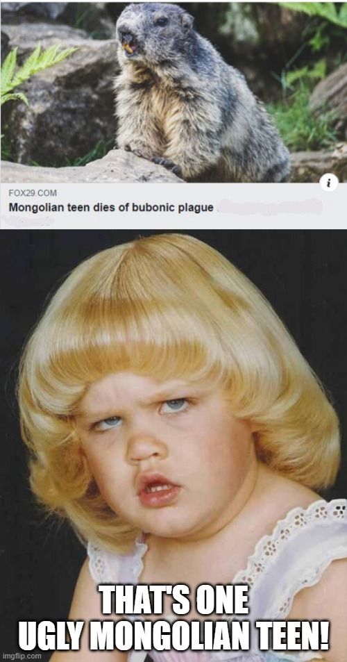 So They Look Like That? | THAT'S ONE UGLY MONGOLIAN TEEN! | image tagged in huh | made w/ Imgflip meme maker