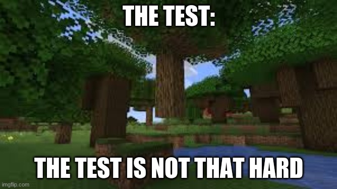 The Test isn't that hard, the test: | THE TEST:; THE TEST IS NOT THAT HARD | image tagged in minecraft | made w/ Imgflip meme maker