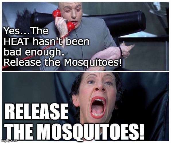 SUMMER | Yes...The HEAT hasn't been bad enough. Release the Mosquitoes! RELEASE THE MOSQUITOES! | image tagged in dr evil and frau yelling,mosquitoes | made w/ Imgflip meme maker
