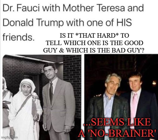 Seems like a no brainer | IS IT *THAT HARD* TO TELL WHICH ONE IS THE GOOD GUY & WHICH IS THE BAD GUY? ...SEEMS LIKE A 'NO-BRAINER' | image tagged in donald trump,fauci,dr fauci,covid19 | made w/ Imgflip meme maker