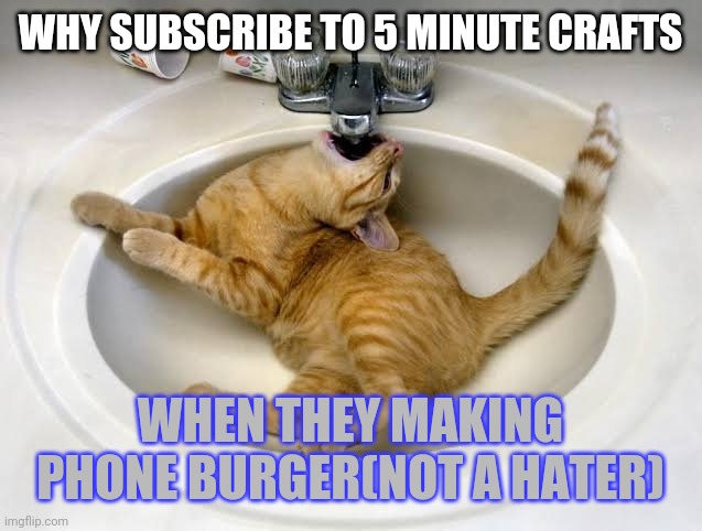 Cat drinking water | WHY SUBSCRIBE TO 5 MINUTE CRAFTS; WHEN THEY MAKING PHONE BURGER(NOT A HATER) | image tagged in cat drinking water | made w/ Imgflip meme maker