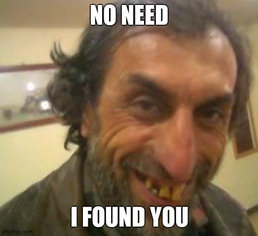 Ugly Guy | NO NEED I FOUND YOU | image tagged in ugly guy | made w/ Imgflip meme maker