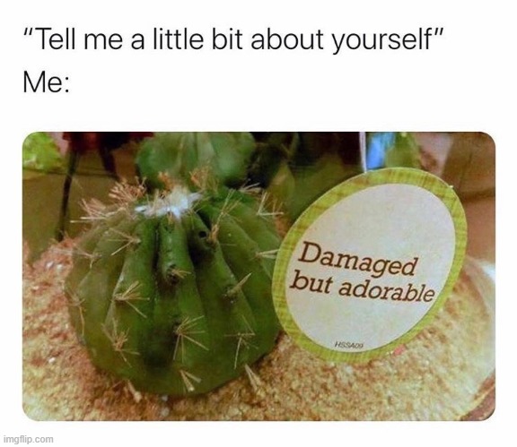 dawww cactii are wholesome (repost) | image tagged in wholesome,repost,cactus,aww,damage,adorable | made w/ Imgflip meme maker